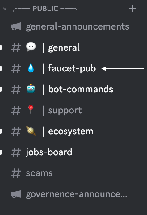 FaucetPub Discord Channel